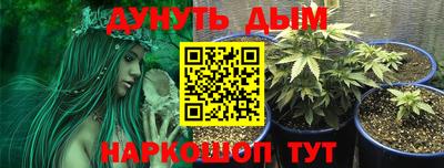 сатива Уссурийск