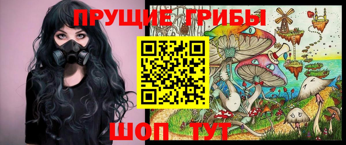 Галлюциногенные грибы Psilocybe  Вход с VPN  Новоалександровск 
